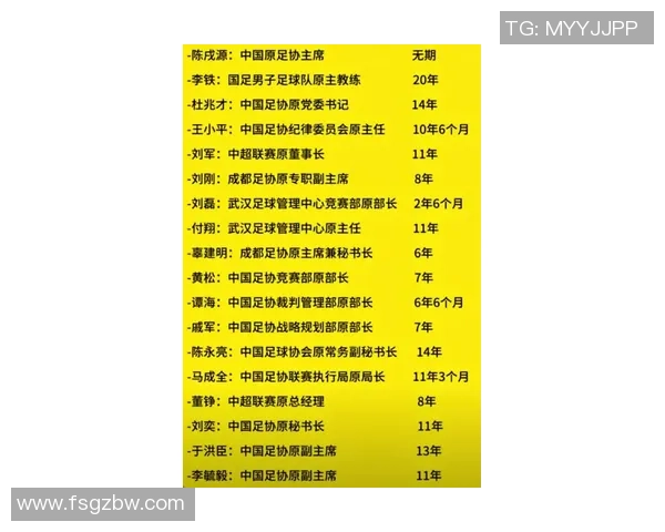 中国足球吸金王：最具商业价值球星背后的财富故事